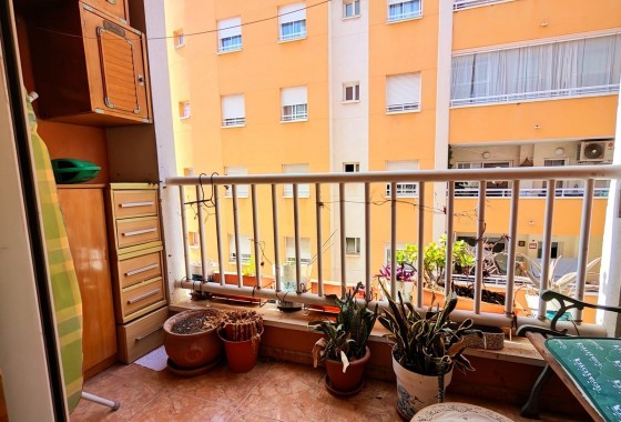 Segunda Mano - Apartamento - Torrevieja - torrevieja