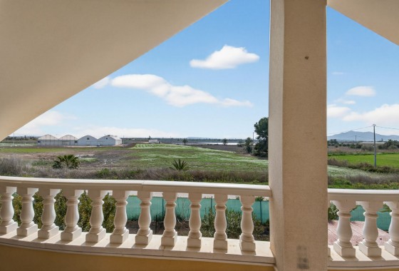 Revente - Finca - Albatera