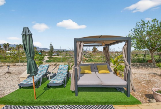 Revente - Finca - Albatera