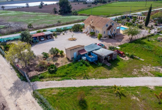 Revente - Finca - Albatera