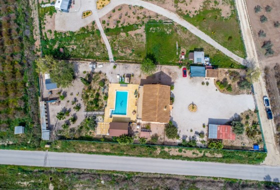 Revente - Finca - Albatera