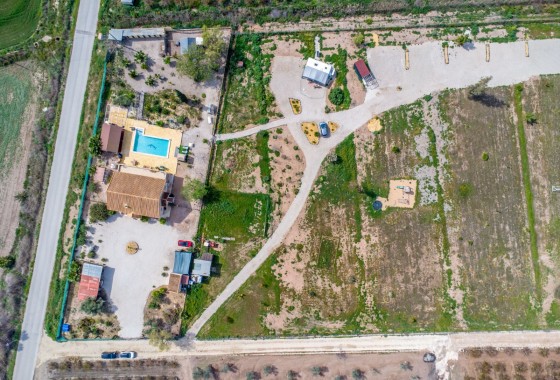 Revente - Finca - Albatera