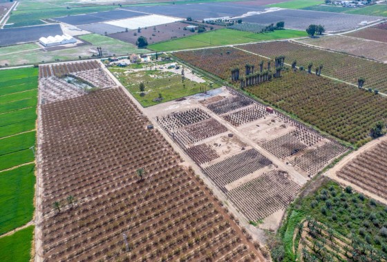 Revente - Finca - Albatera