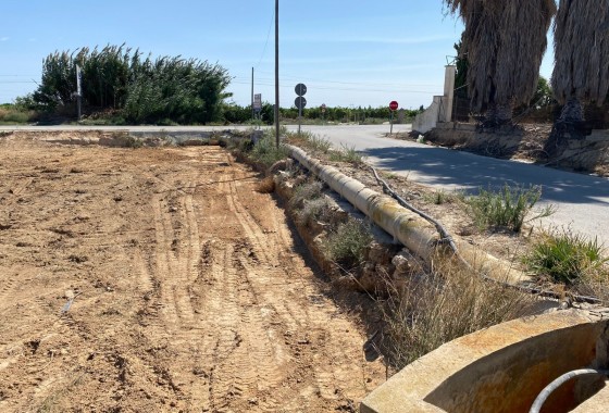 Revente - Terrain - San Miguel de Salinas - San Miguel Salinas