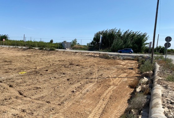 Revente - Terrain - San Miguel de Salinas - San Miguel Salinas