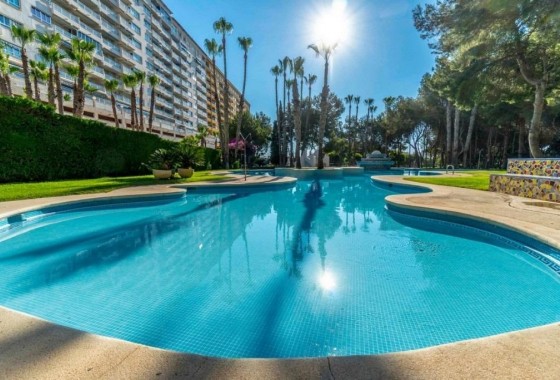 Resale - Apartment - Orihuela Costa - Campoamor