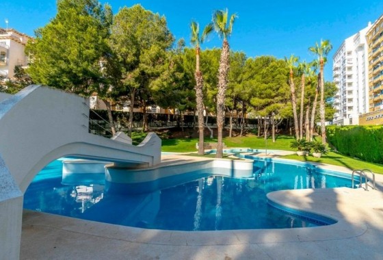 Resale - Apartment - Orihuela Costa - Campoamor