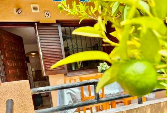 Revente - Studio - Torrevieja - Torrelamata - La Mata