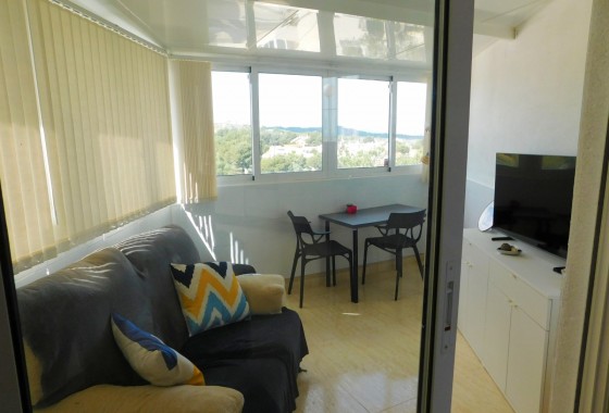 Location à long terme - Appartement - San Miguel de Salinas - San Miguel Salinas