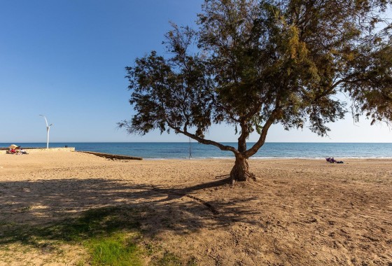 Segunda Mano - Apartamento - Torrevieja - La Mata
