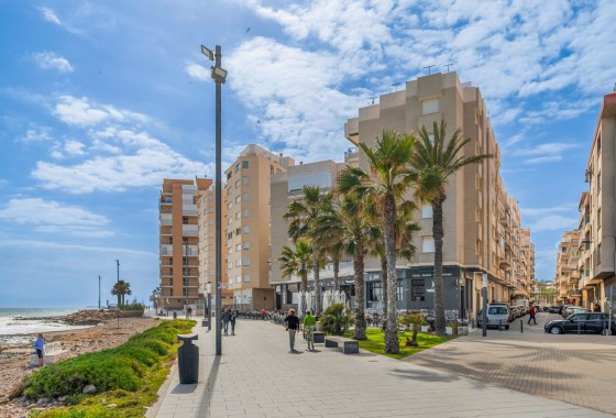 Segunda Mano - Apartamento - Torrevieja - Playa de El Cura