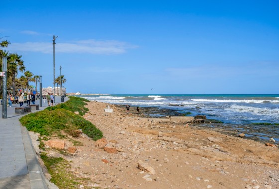 Segunda Mano - Apartamento - Torrevieja - Playa de El Cura