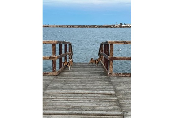 Revente - Maison mitoyenne - San Pedro del Pinatar - Los Antolinos