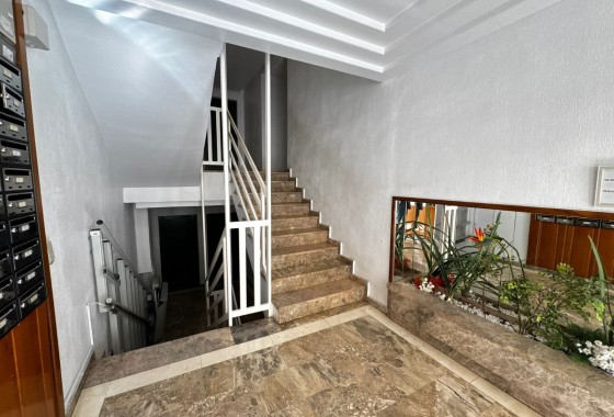 Segunda Mano - Apartamento - Torrevieja - Punta Prima