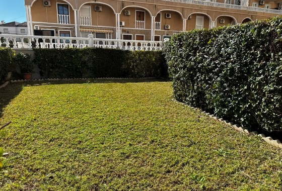 Segunda Mano - Apartamento - Torrevieja - Punta Prima