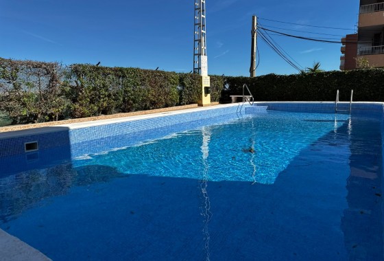 Segunda Mano - Apartamento - Torrevieja - Punta Prima