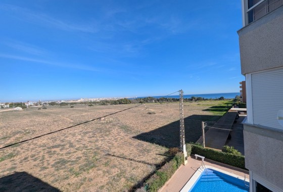 Segunda Mano - Apartamento - Torrevieja - Punta Prima