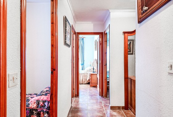 Segunda Mano - Apartamento - Torrevieja - Playa Los Naufragos