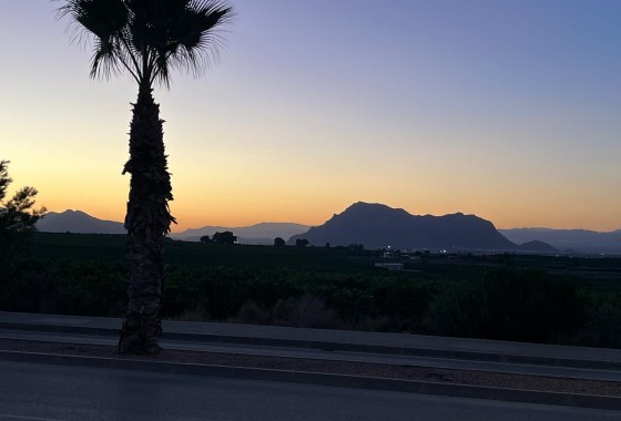 Revente - Maison mitoyenne - Algorfa