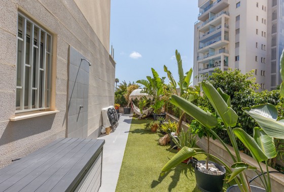 Resale - Apartment - La Mata - Playa