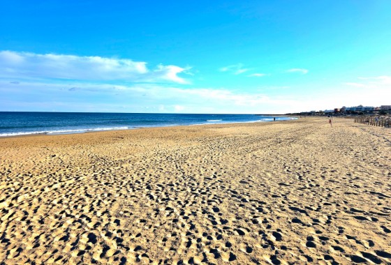 Revente - Appartement - Guardamar del Segura - Pinomar