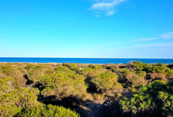 Revente - Appartement - Guardamar del Segura - Pinomar