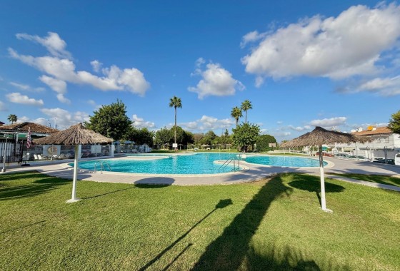 Revente - Appartement - Torrevieja - Los Balcones