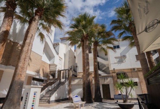 Segunda Mano - Apartamento - Orihuela Costa - Costa Blanca