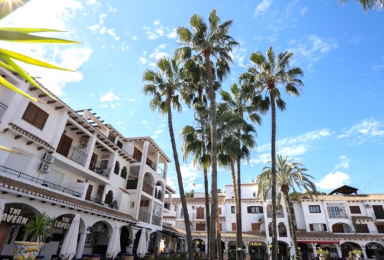 Segunda Mano - Apartamento - Orihuela Costa - Costa Blanca