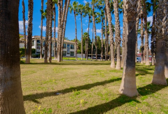 Segunda Mano - Apartamento - Orihuela Costa - Costa Blanca