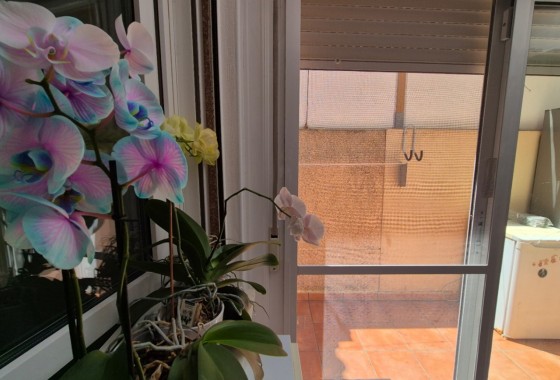 Revente - Maison mitoyenne - Torrevieja - Costa Blanca