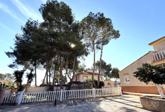 Segunda Mano - Chalet - Pilar de la Horadada - Costa Blanca