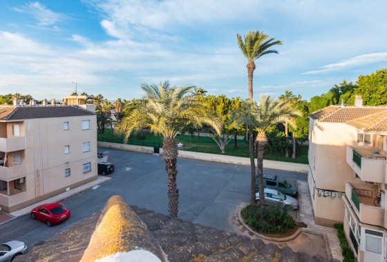 Segunda Mano - Apartamento - Los Alcázares - Los Alcazares