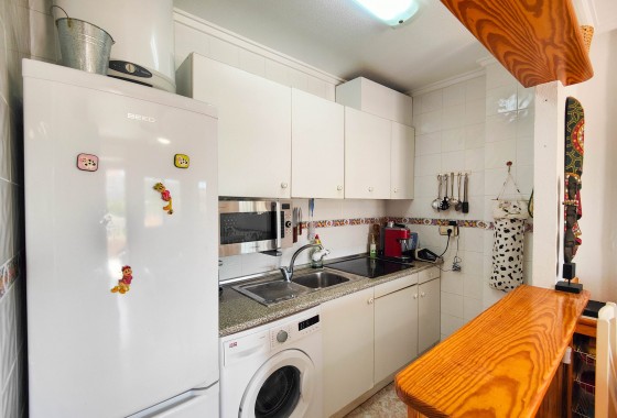 Segunda Mano - Apartamento - Torrevieja - San Luis