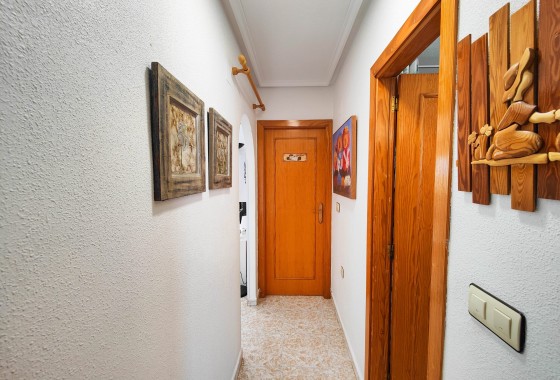 Segunda Mano - Apartamento - Torrevieja - San Luis