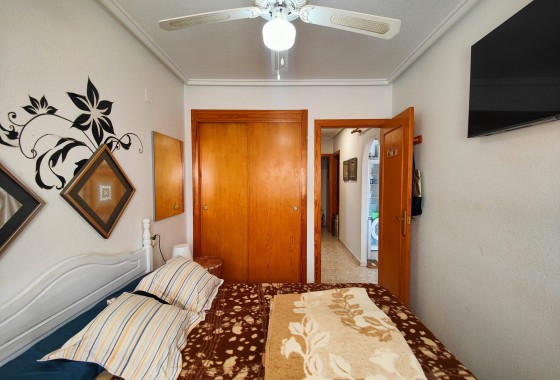 Segunda Mano - Apartamento - Torrevieja - San Luis