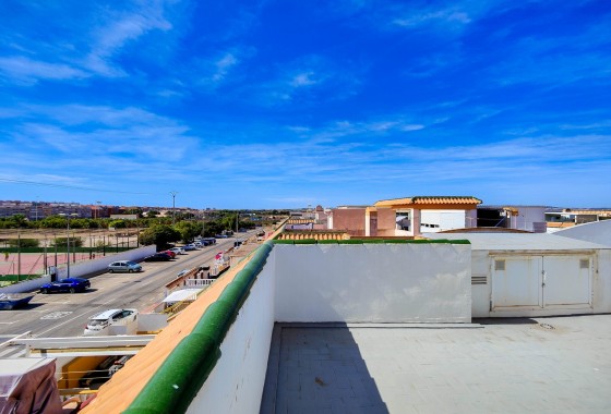 Segunda Mano - Apartamento - Torrevieja - San Luis