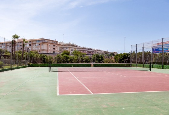 Segunda Mano - Apartamento - Torrevieja - San Luis