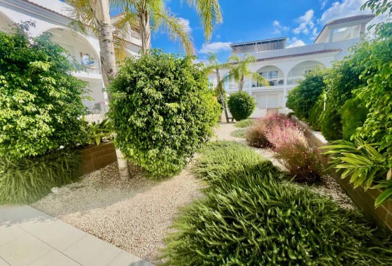 Resale - Apartment - Ciudad Quesada/Rojales - Ciudad Quesada