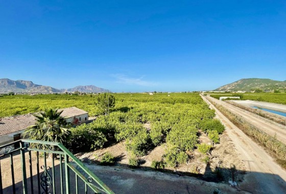 Revente - Villa - Orihuela Costa - Orihuela