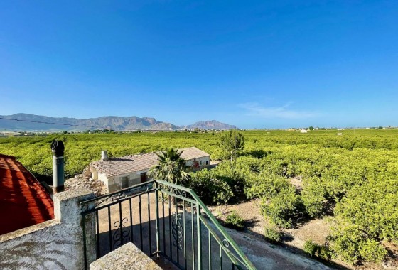 Revente - Villa - Orihuela Costa - Orihuela