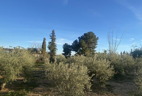 Revente - Villa - Gea Y Truyols - Gea y Trujols