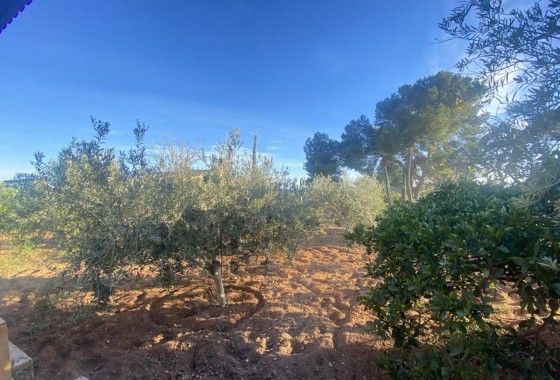 Revente - Villa - Gea Y Truyols - Gea y Trujols