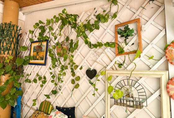 Revente - Appartement - Torrevieja - Center