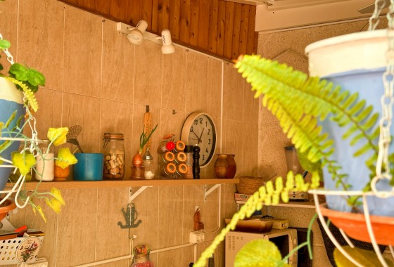 Revente - Appartement - Torrevieja - Center