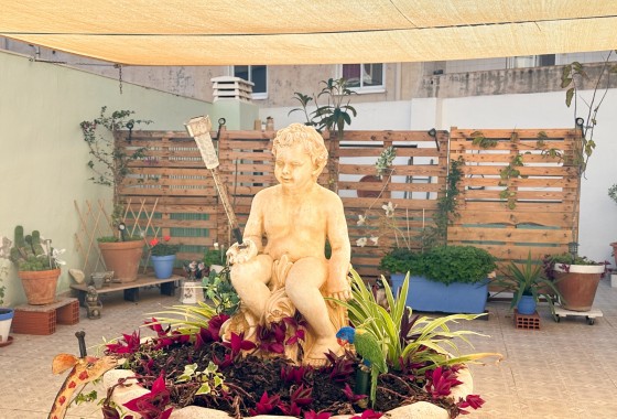 Revente - Appartement - Torrevieja - Center