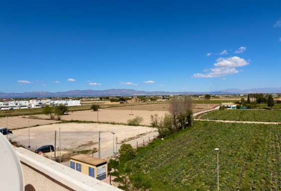 Resale - Apartment - Daya Nueva