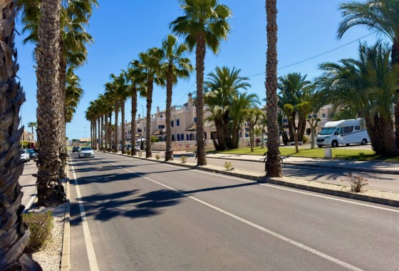 Resale - Apartment - Daya Nueva