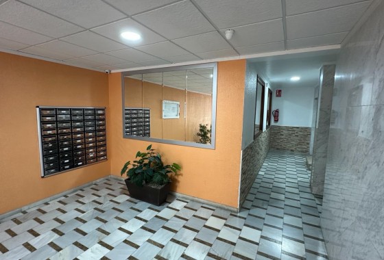 Revente - Appartement - Torrevieja - Playa Los Naufragos