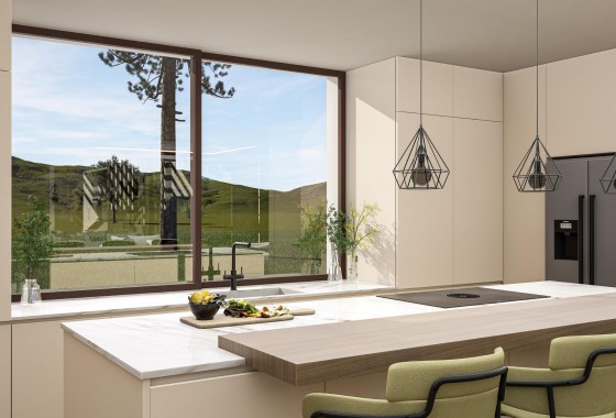 Nouvelle construction - Villa - Pinoso - Lel